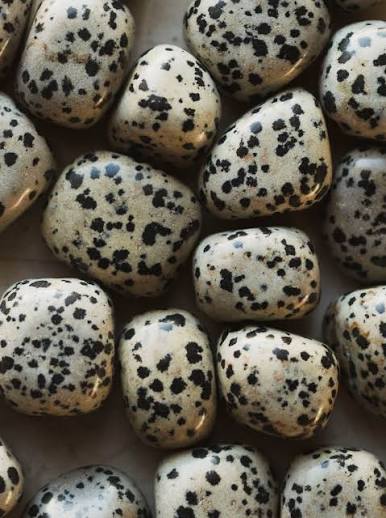 Dalmatian Jasper